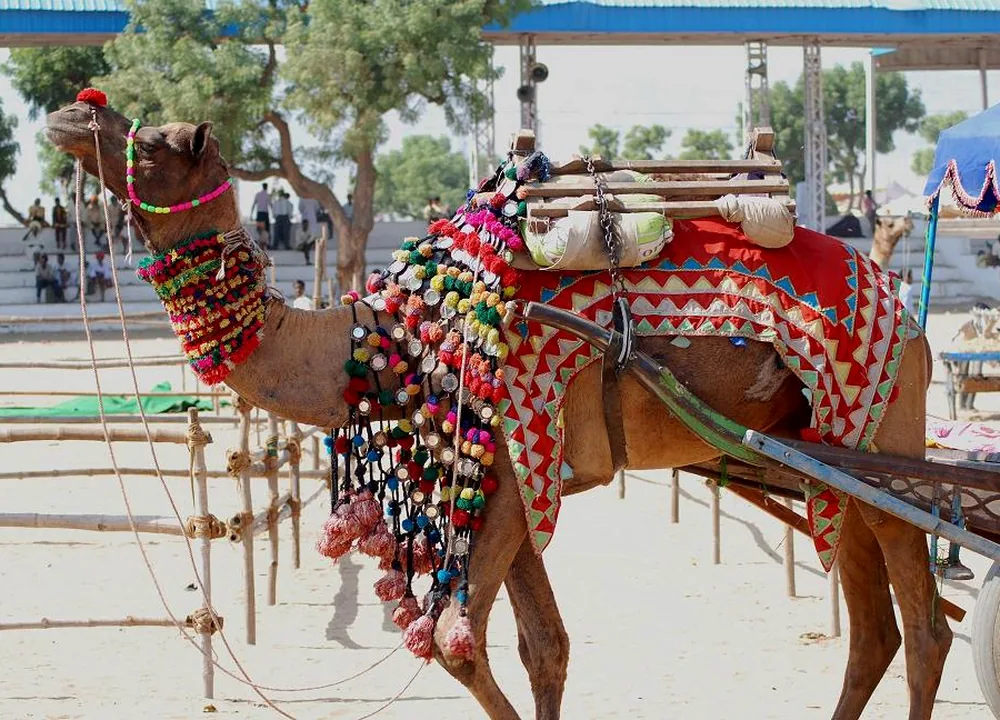 Pushkar