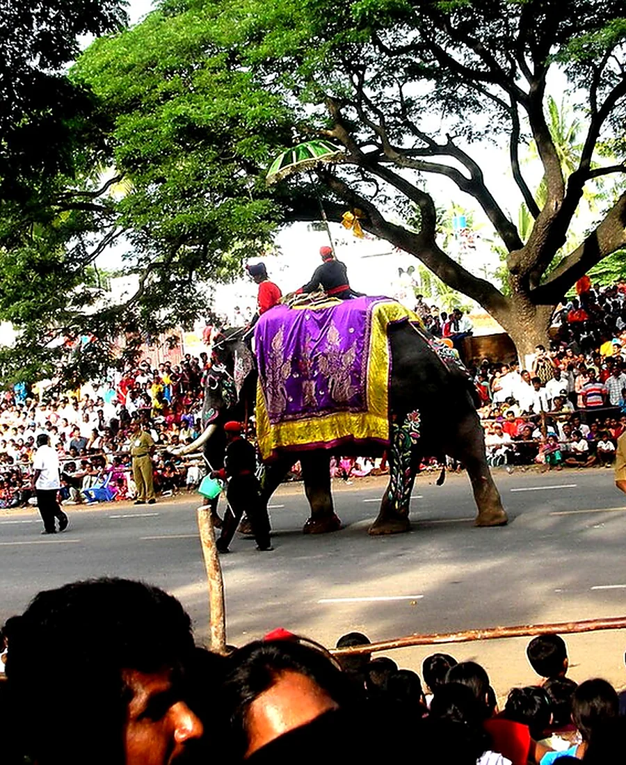 Mysuru Dasara Cultural Program — Gallery 2